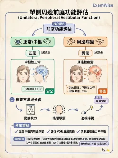 物治 - 前庭系統與前庭復健 - AI 圖文解析預覽