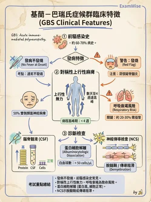 物治 - 神經肌肉疾病 - AI 圖文解析預覽