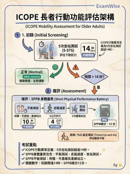 物治 - 衰弱肌少症與長期照護 - AI 圖文解析預覽
