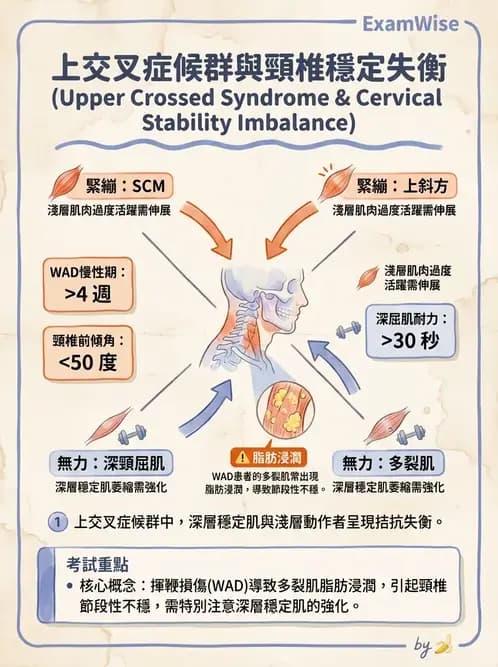 物治 - 頸椎評估與病理 - AI 圖文解析預覽