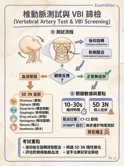 物治 - 頸椎評估與病理 - AI 圖文解析預覽