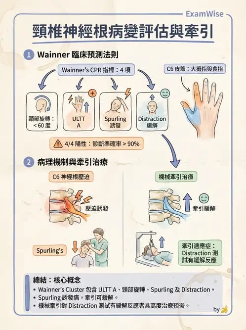 物治 - 頸椎評估與病理 - AI 圖文解析預覽