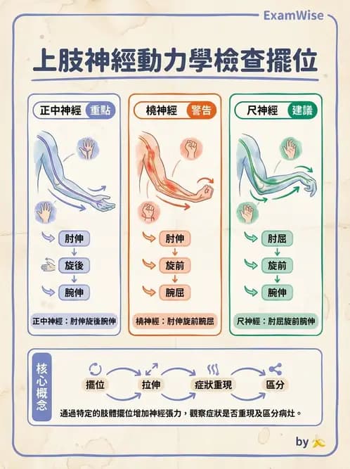 物治 - 頸椎評估與病理 - AI 圖文解析預覽