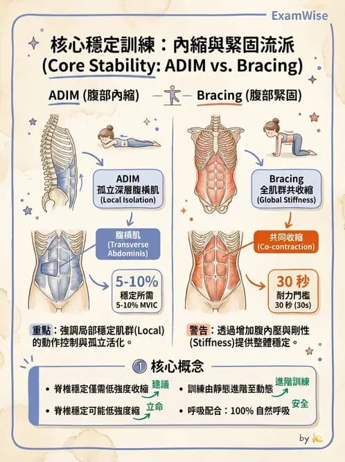 物治 - 腰椎穩定訓練與治療原則 - AI 圖文解析預覽