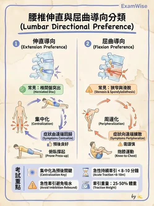 物治 - 腰椎穩定訓練與治療原則 - AI 圖文解析預覽