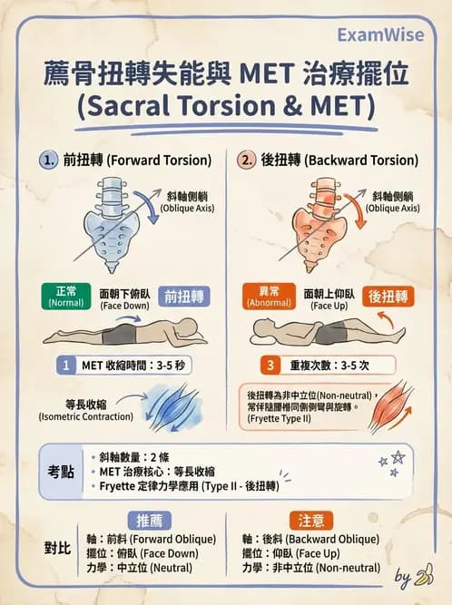 物治 - 薦髂關節評估與治療 - AI 圖文解析預覽