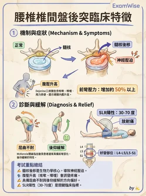 物治 - 腰椎椎間盤與脊椎狹窄 - AI 圖文解析預覽