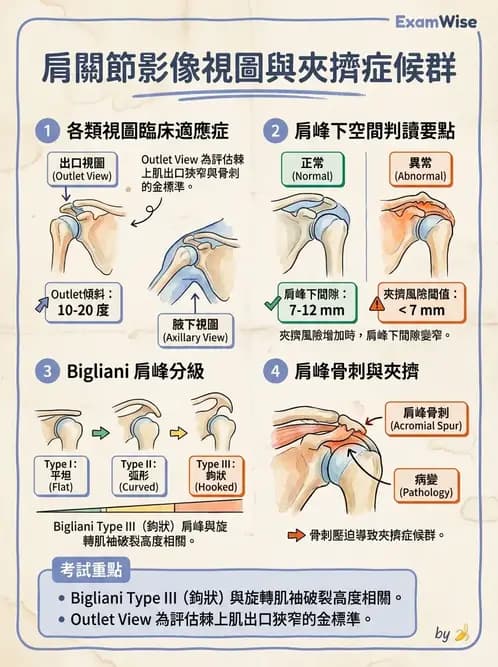 物治 - 肩關節夾擠與旋轉肌袖 - AI 圖文解析預覽