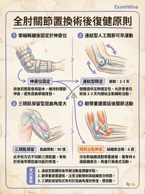 物治 - 肘及前臂關節 - AI 圖文解析預覽