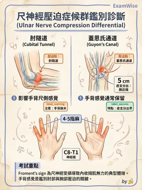 物治 - 肘及前臂關節 - AI 圖文解析預覽