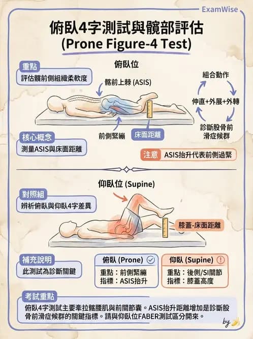 物治 - 髖關節解剖與評估 - AI 圖文解析預覽