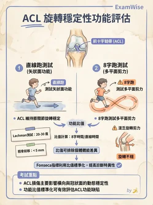 物治 - 膝關節韌帶與半月板損傷 - AI 圖文解析預覽