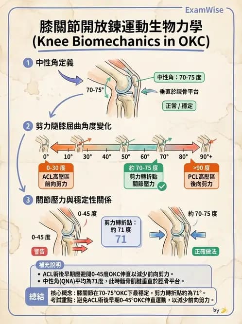物治 - 膝關節生物力學與退化性疾病 - AI 圖文解析預覽