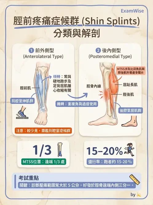 物治 - 踝關節損傷與復健 - AI 圖文解析預覽