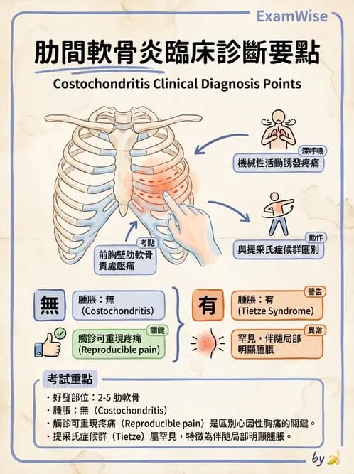 物治 - 胸椎與肋骨 - AI 圖文解析預覽