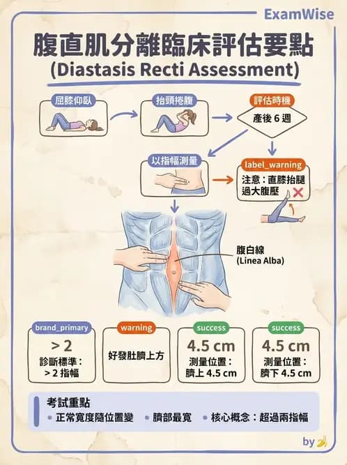 物治 - 女性健康 - AI 圖文解析預覽