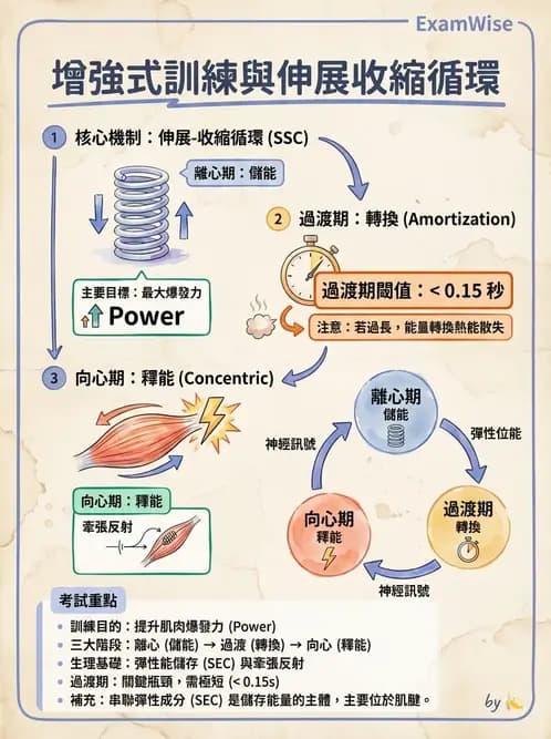 物治 - 競技與運動防護 - AI 圖文解析預覽