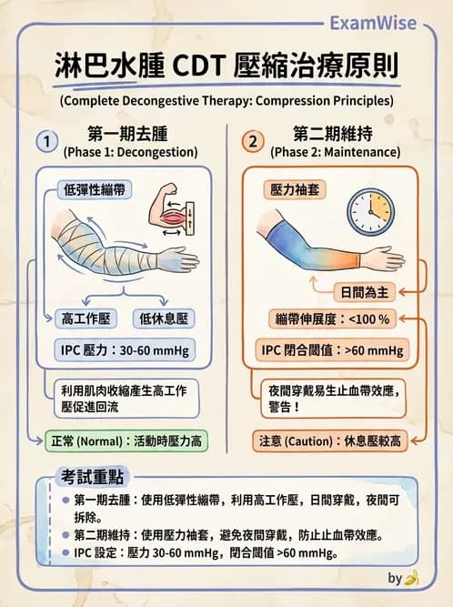 物治 - 皮膚與淋巴系統物理治療 - AI 圖文解析預覽