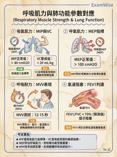 物治 - 肺功能測試與血氣體分析 - AI 圖文解析預覽