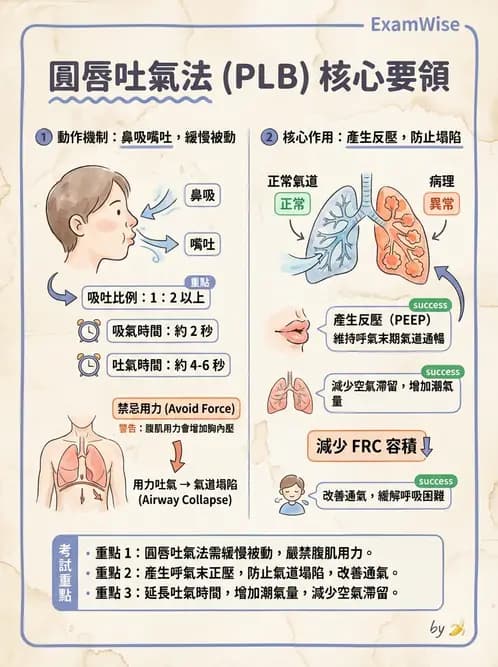 物治 - 氣道廓清與呼吸訓練技術 - AI 圖文解析預覽