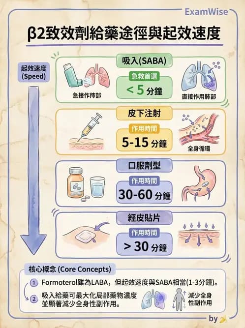 物治 - 阻塞性肺疾病物理治療 - AI 圖文解析預覽