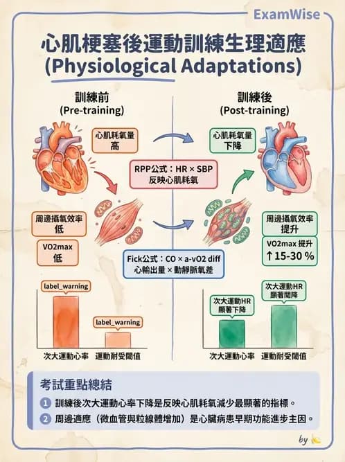 物治 - 心臟復健與運動處方 - AI 圖文解析預覽