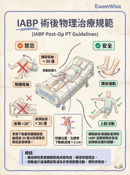 物治 - 心臟藥物、輔助裝置與周邊血管 - AI 圖文解析預覽