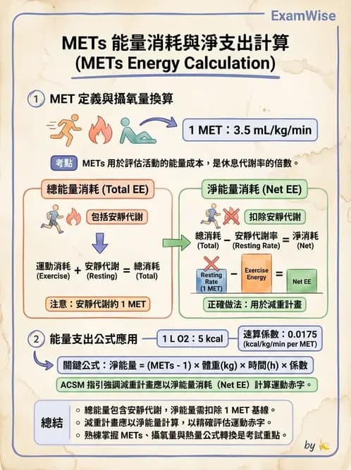 物治 - 運動生理學與能量代謝 - AI 圖文解析預覽