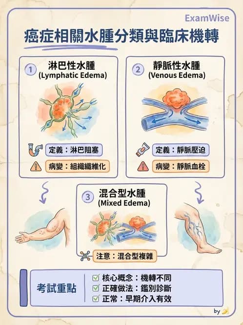 物治 - 癌症物理治療 - AI 圖文解析預覽