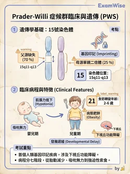 物治 - 智能障礙與基因症候群 - AI 圖文解析預覽