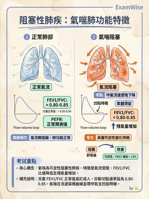 物治 - 小兒呼吸疾患與NICU物理治療 - AI 圖文解析預覽