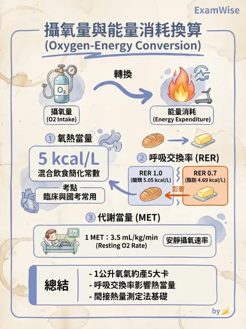 物治 - 運動生理學與能量代謝 - AI 圖文解析預覽