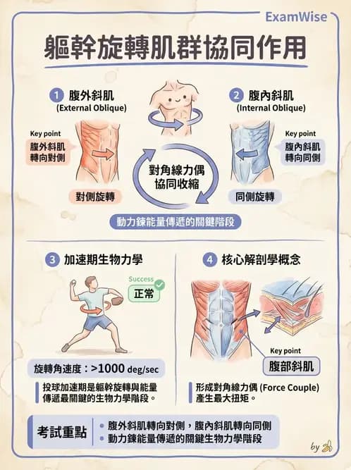 物治 - 競技運動與肌力訓練動作分析 - AI 圖文解析預覽