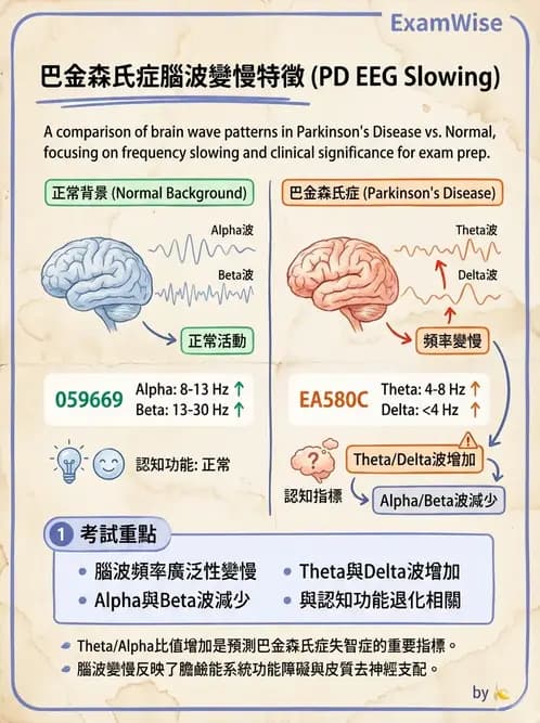 物治 - 神經系統生理 - AI 圖文解析預覽