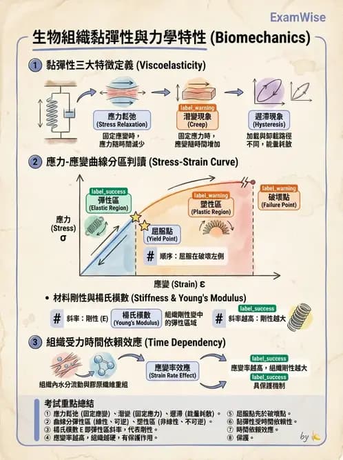 物治 - 組織生物力學 - AI 圖文解析預覽