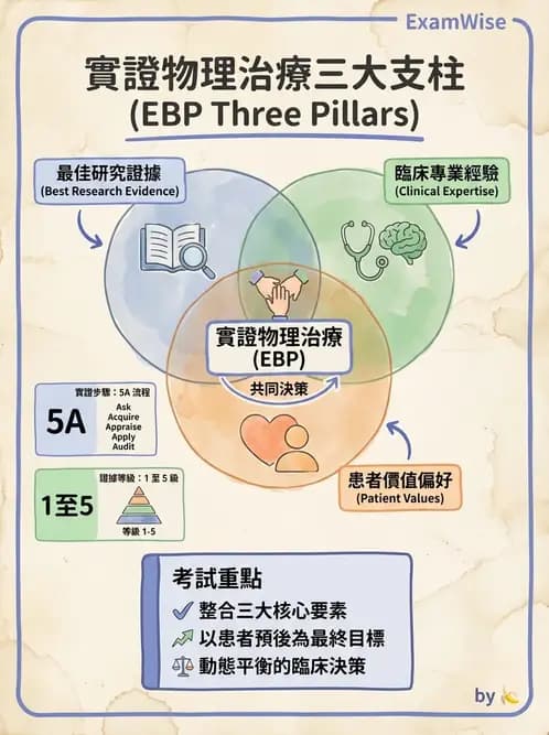 物治 - 實證概念與發展 - AI 圖文解析預覽
