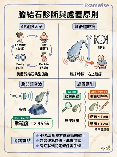 物治 - 內科疾病概論 - AI 圖文解析預覽