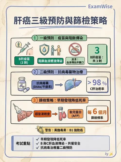 物治 - 內科疾病概論 - AI 圖文解析預覽
