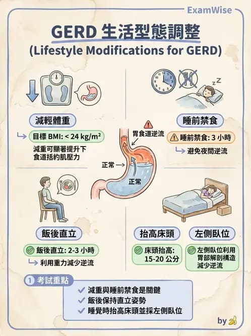 物治 - 內科疾病概論 - AI 圖文解析預覽