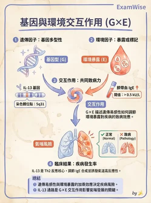 物治 - 流行病學與健康篩檢 - AI 圖文解析預覽