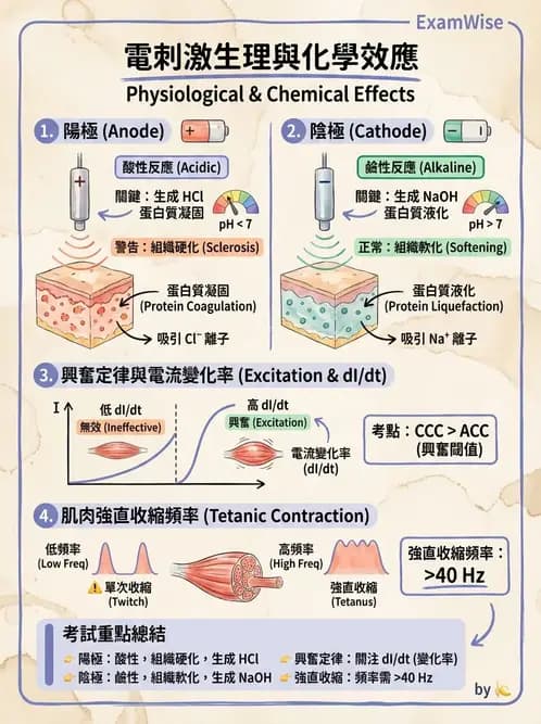 物治 - 經皮電刺激與電療基礎 - AI 圖文解析預覽