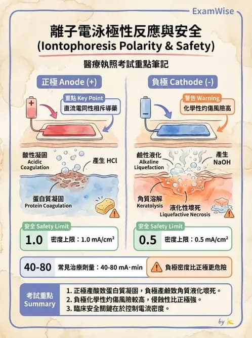 物治 - 離子導入法 - AI 圖文解析預覽