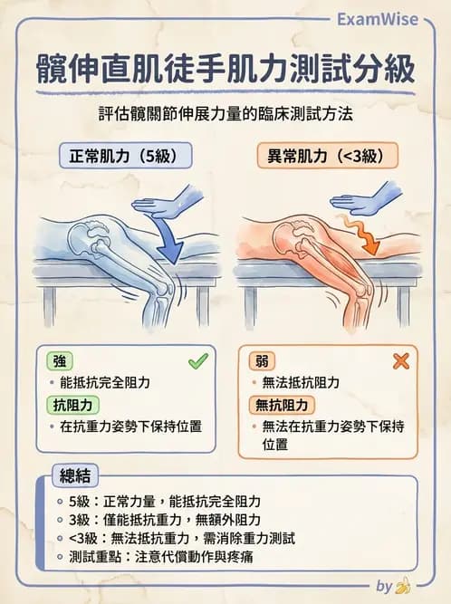 物治 - 下肢徒手肌力測試 - AI 圖文解析預覽