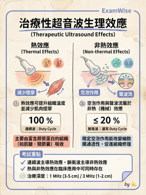 物治 - 超音波 - AI 圖文解析預覽