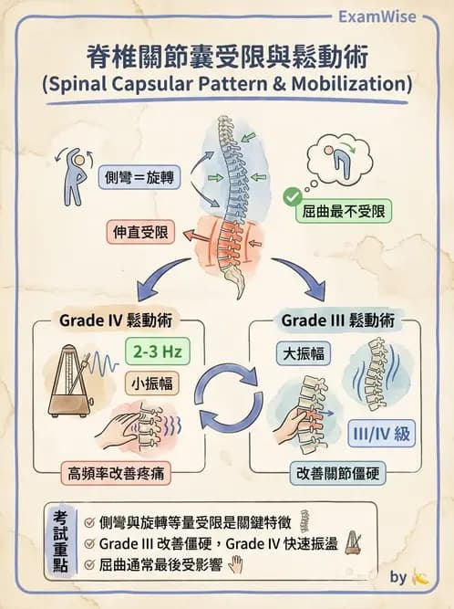 物治 - 鬆動術基礎概念與原則 - AI 圖文解析預覽