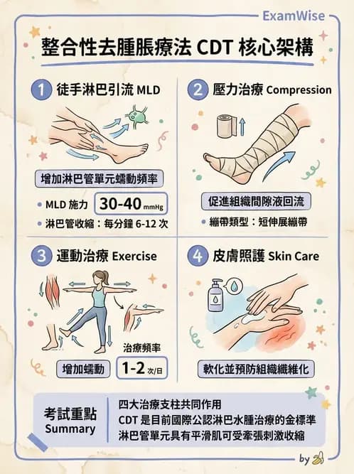 物治 - 淋巴水腫與徒手淋巴引流 - AI 圖文解析預覽