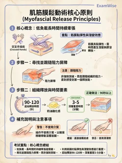 物治 - 深層摩擦按摩與結締組織技術 - AI 圖文解析預覽