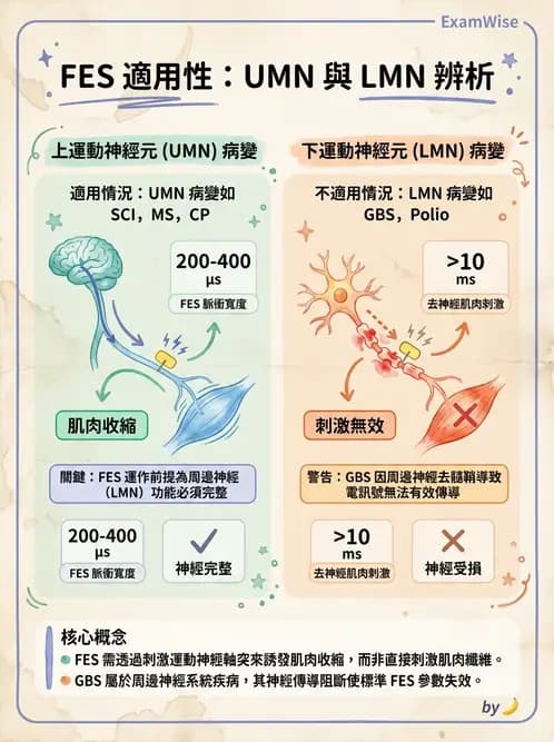 物治 - 功能性電刺激 - AI 圖文解析預覽