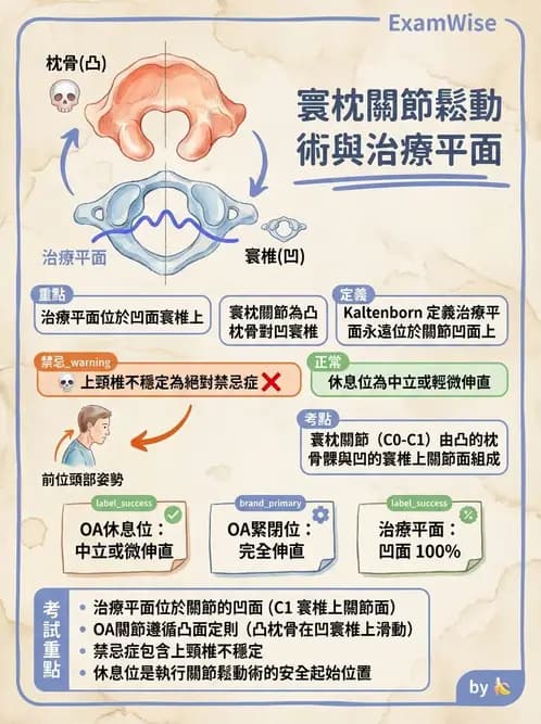 物治 - 脊椎鬆動術 - AI 圖文解析預覽