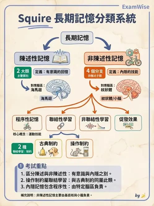 物治 - 動作學習 - AI 圖文解析預覽
